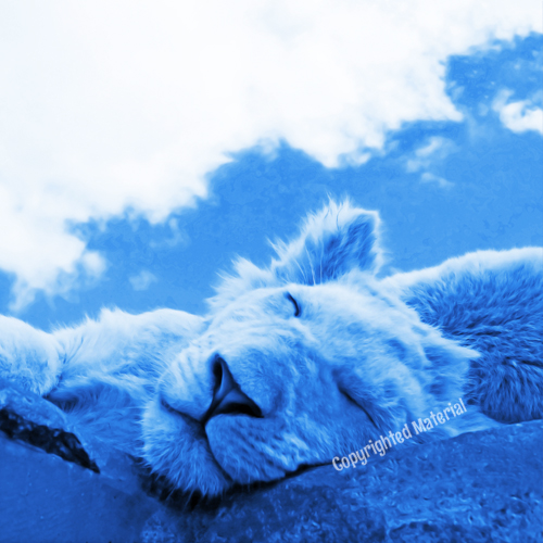 http://www.livewellmedia.com/wp-content/uploads/04bed.jpg